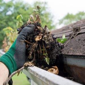 gutter cleaning