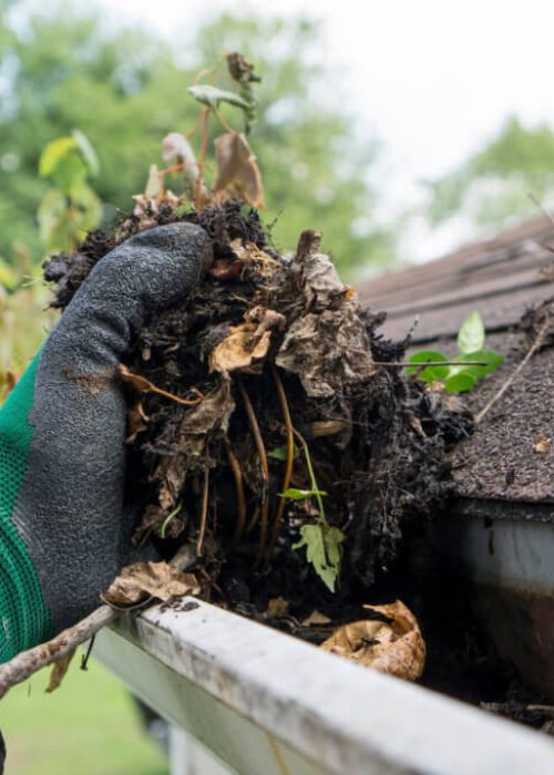 gutter cleaning