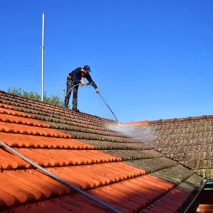 roof soft washing